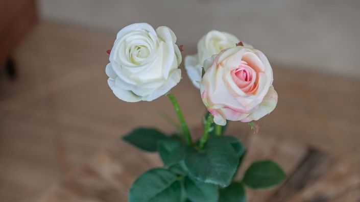 Image No.49-3 Bed Apartment for sale