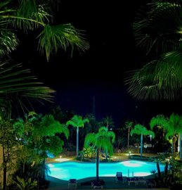 1447-521424-78d1f4f8b6655591b02d22fabb36a692d