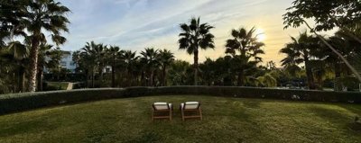 1447-521424-78d1f4f8b6655591b02d22fabb36a692d