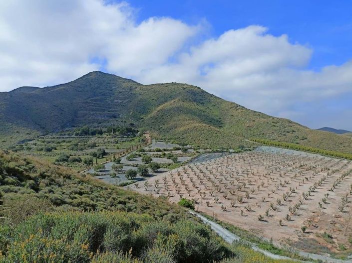 Image No.29-4 Bed Villa for sale