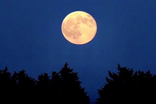 Image No.49-2 Bed Apartment for sale