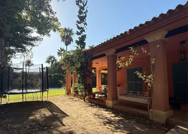 1447-647264-78d1f4f8b6655591b02d22fabb36a692d