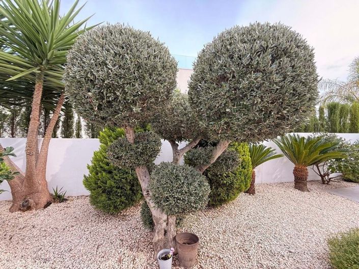 Image No.18-2 Bed Villa for sale