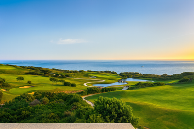 1447-645323-78d1f4f8b6655591b02d22fabb36a692d