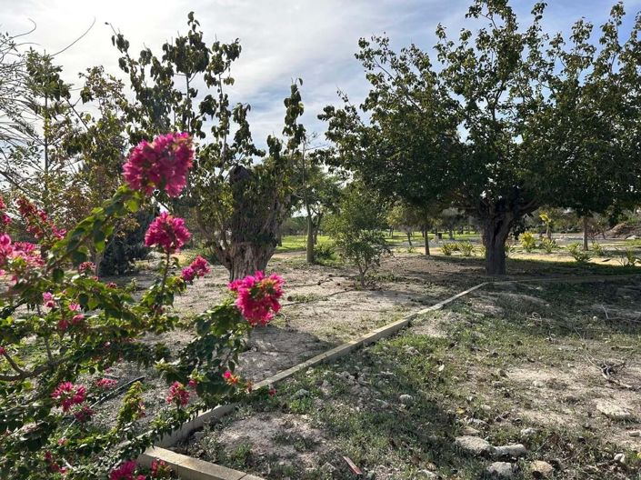 Image No.44-3 Bed Villa for sale