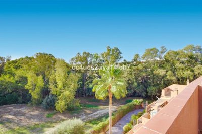 1447-650060-78d1f4f8b6655591b02d22fabb36a692d