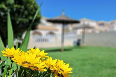 1447-649762-78d1f4f8b6655591b02d22fabb36a692d