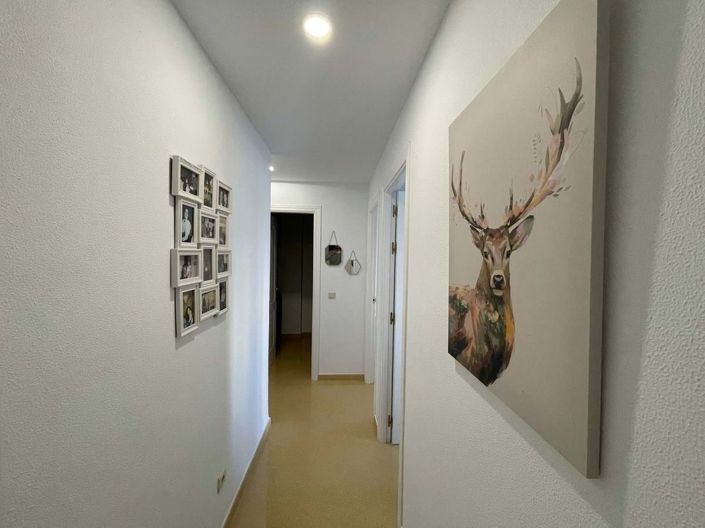 Image No.20-3 Bed Apartment for sale