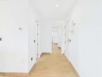 1447-651886-78d1f4f8b6655591b02d22fabb36a692d