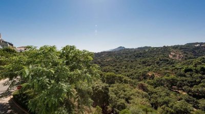 1447-653449-78d1f4f8b6655591b02d22fabb36a692d