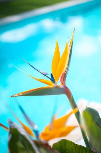 Image No.56-3 Bed Apartment for sale