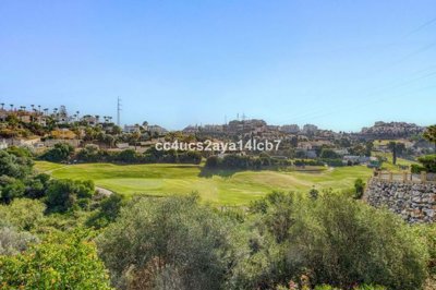 1447-649039-78d1f4f8b6655591b02d22fabb36a692d