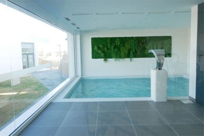 1447-645525-78d1f4f8b6655591b02d22fabb36a692d