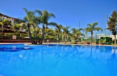 1447-649016-78d1f4f8b6655591b02d22fabb36a692d