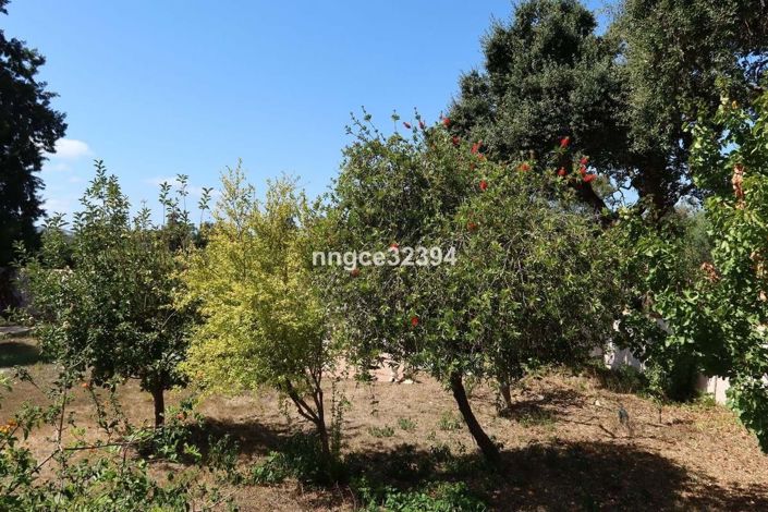 Image No.50-7 Bed Villa for sale