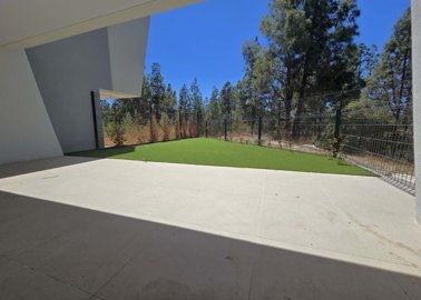 1447-645786-78d1f4f8b6655591b02d22fabb36a692d