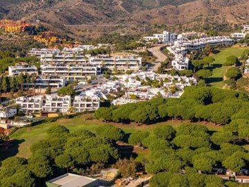 1447-654118-78d1f4f8b6655591b02d22fabb36a692d