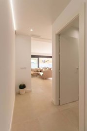 1447-646164-78d1f4f8b6655591b02d22fabb36a692d