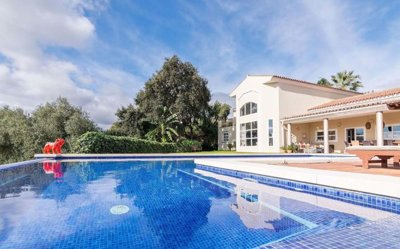 1447-533116-78d1f4f8b6655591b02d22fabb36a692d