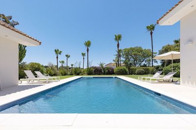 1447-533128-78d1f4f8b6655591b02d22fabb36a692d