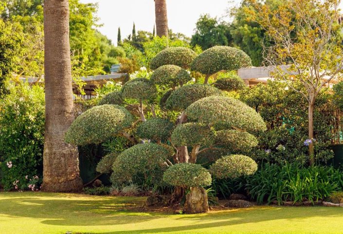 Image No.40-3 Bed Villa for sale