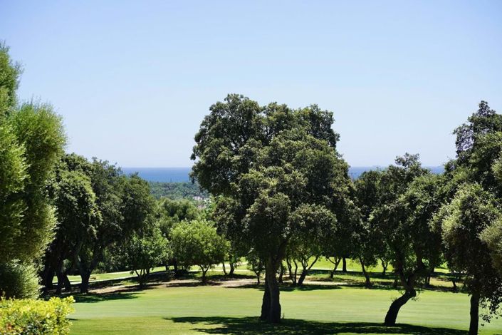 Image No.34-5 Bed Villa for sale