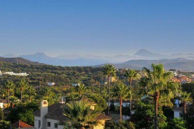 1447-525823-78d1f4f8b6655591b02d22fabb36a692d