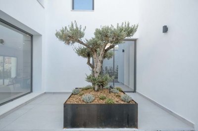 1447-644079-78d1f4f8b6655591b02d22fabb36a692d