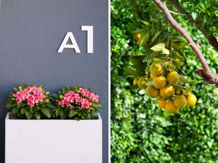 Image No.4-Jumelé de 3 chambres à vendre à La Cala De Mijas