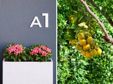 1447-638892-78d1f4f8b6655591b02d22fabb36a692d