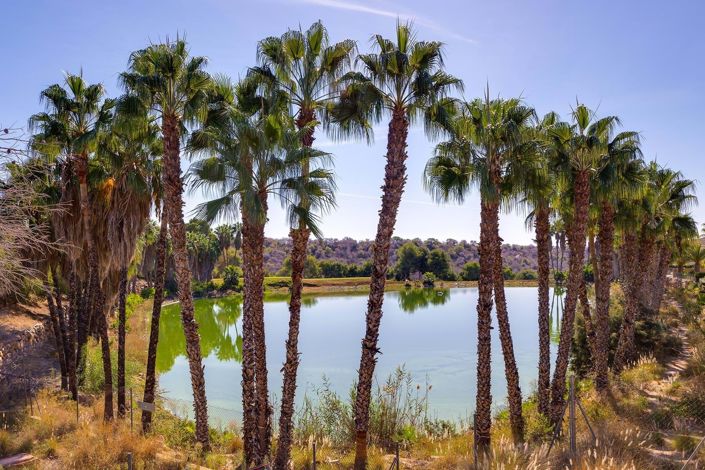 Image No.34-Villa de 3 chambres à vendre à Orihuela Costa