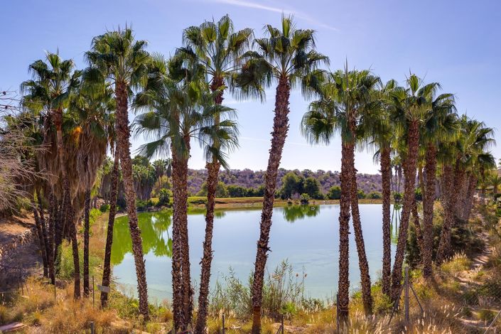 Image No.34-3 Bed Villa for sale