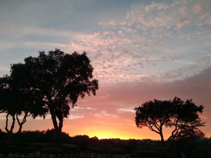 Image No.38-7 Bed Villa for sale