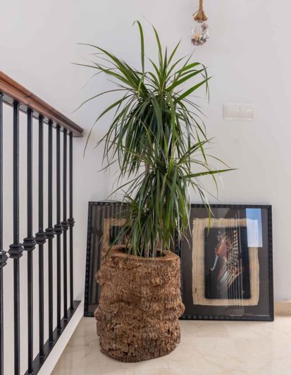 Image No.21-4 Bed Villa for sale