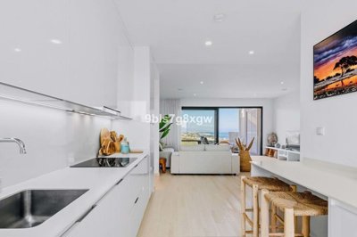 1447-647961-78d1f4f8b6655591b02d22fabb36a692d