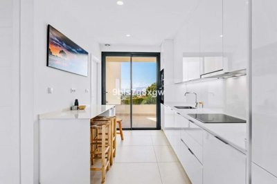 1447-647961-78d1f4f8b6655591b02d22fabb36a692d