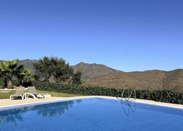 1447-659921-78d1f4f8b6655591b02d22fabb36a692d