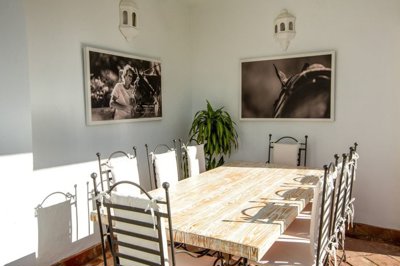 1447-660037-78d1f4f8b6655591b02d22fabb36a692d