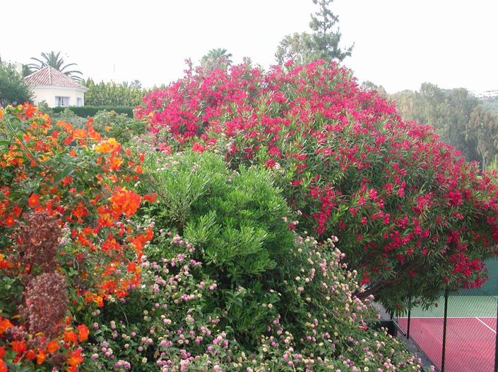 Image No.10-4 Bed Townhouse for sale