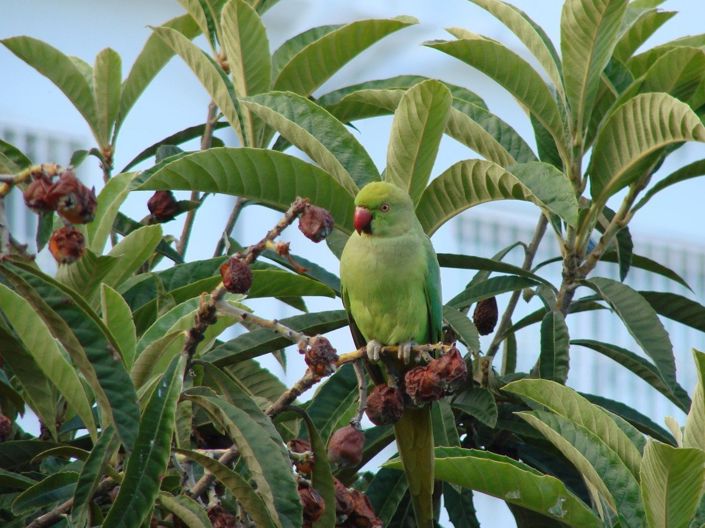 Image No.3-4 Bed Townhouse for sale