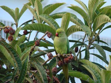 1447-660656-78d1f4f8b6655591b02d22fabb36a692d