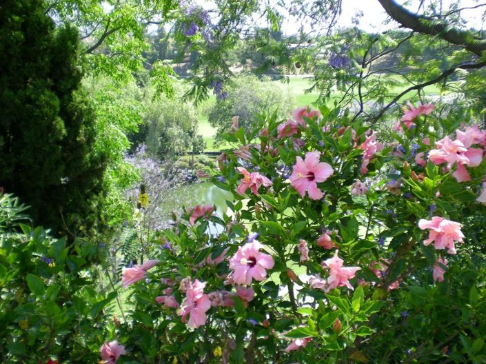 Image No.5-4 Bed Townhouse for sale