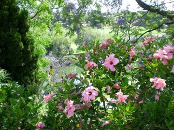 1447-660656-78d1f4f8b6655591b02d22fabb36a692d