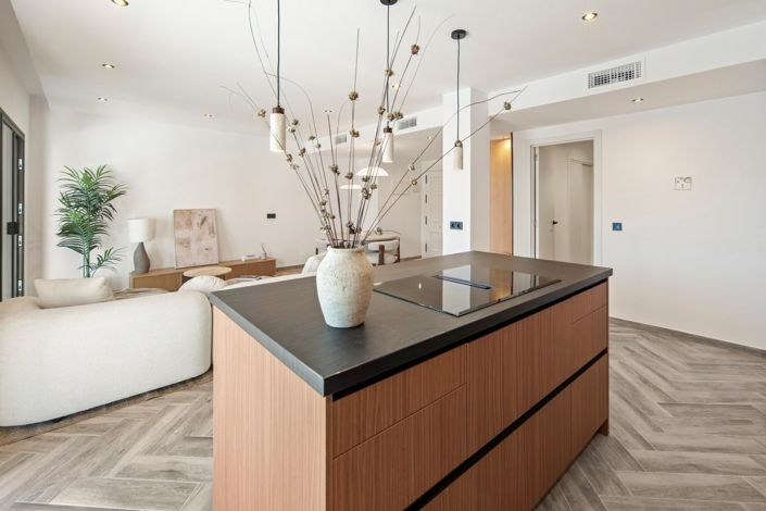 Image No.3-3 Bed Penthouse for sale