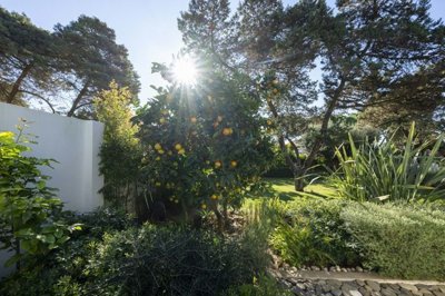 1447-660424-78d1f4f8b6655591b02d22fabb36a692d