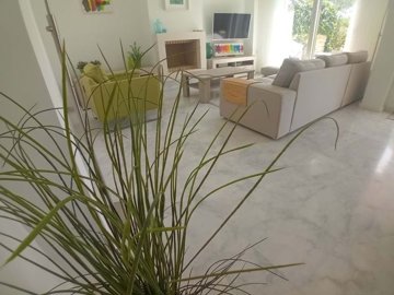 1447-661611-78d1f4f8b6655591b02d22fabb36a692d