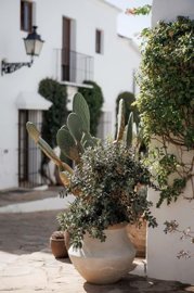 1447-661607-78d1f4f8b6655591b02d22fabb36a692d