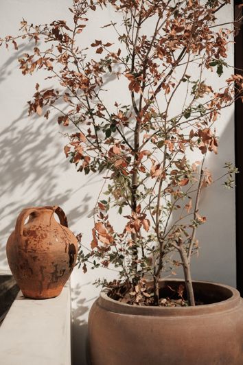 Image No.30-2 Bed Townhouse for sale