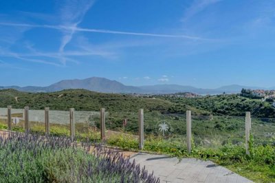 1447-661969-78d1f4f8b6655591b02d22fabb36a692d