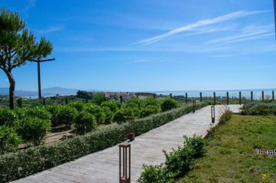 1447-661969-78d1f4f8b6655591b02d22fabb36a692d